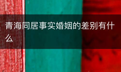 青海同居事实婚姻的差别有什么