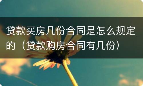 贷款买房几份合同是怎么规定的（贷款购房合同有几份）