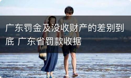 广东罚金及没收财产的差别到底 广东省罚款收据