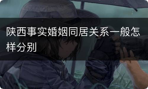 陕西事实婚姻同居关系一般怎样分别