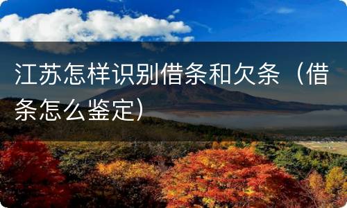 江苏怎样识别借条和欠条（借条怎么鉴定）