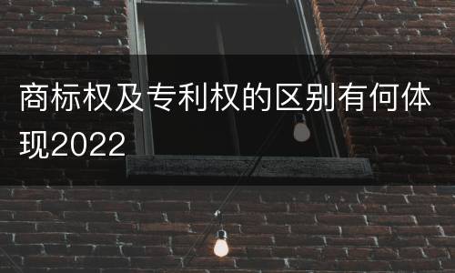 商标权及专利权的区别有何体现2022