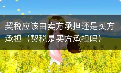 契税应该由卖方承担还是买方承担（契税是买方承担吗）