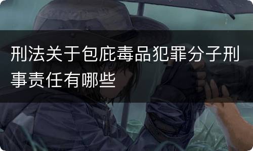 刑法关于包庇毒品犯罪分子刑事责任有哪些
