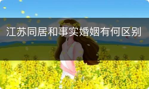 江苏同居和事实婚姻有何区别