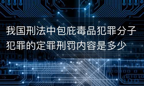 我国刑法中包庇毒品犯罪分子犯罪的定罪刑罚内容是多少
