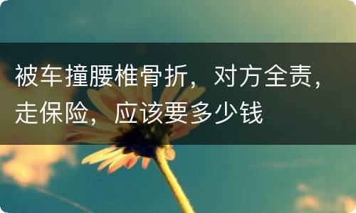 被车撞腰椎骨折，对方全责，走保险，应该要多少钱