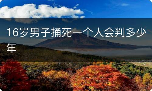 16岁男子捅死一个人会判多少年