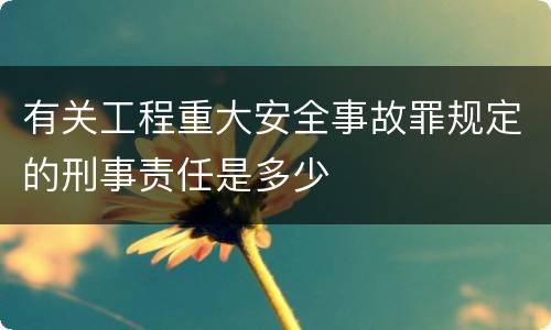 有关工程重大安全事故罪规定的刑事责任是多少