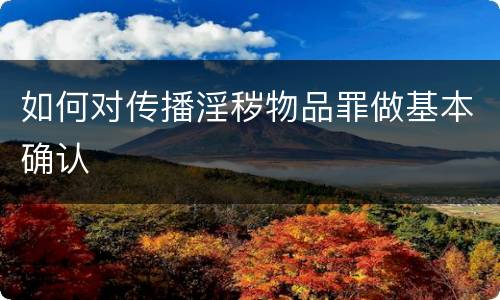 如何对传播淫秽物品罪做基本确认