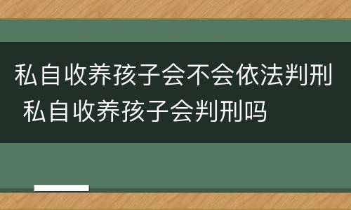 私自收养孩子会不会依法判刑 私自收养孩子会判刑吗