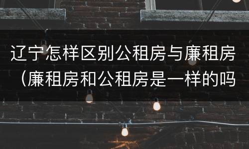 辽宁怎样区别公租房与廉租房（廉租房和公租房是一样的吗）