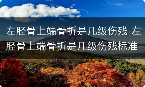 左胫骨上端骨折是几级伤残 左胫骨上端骨折是几级伤残标准