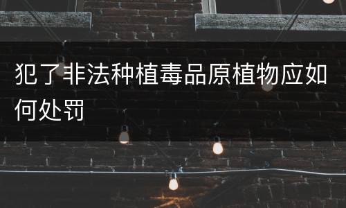 犯了非法种植毒品原植物应如何处罚