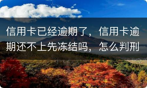 信用卡已经逾期了，信用卡逾期还不上先冻结吗，怎么判刑的