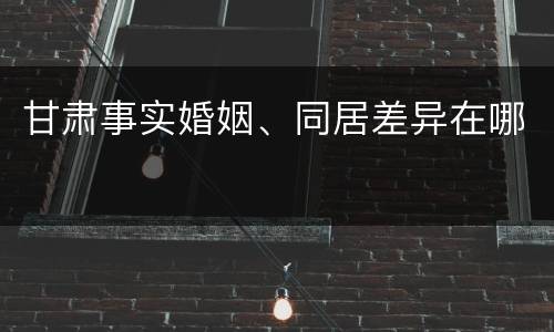 甘肃事实婚姻、同居差异在哪