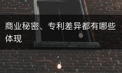 商业秘密、专利差异都有哪些体现