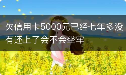 欠信用卡5000元已经七年多没有还上了会不会坐牢