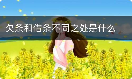 欠条和借条不同之处是什么