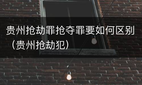 贵州抢劫罪抢夺罪要如何区别（贵州抢劫犯）