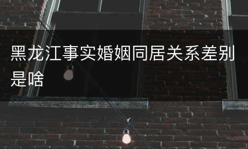 黑龙江事实婚姻同居关系差别是啥