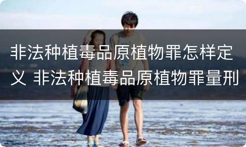 非法种植毒品原植物罪怎样定义 非法种植毒品原植物罪量刑指导意见