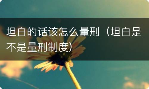 坦白的话该怎么量刑（坦白是不是量刑制度）