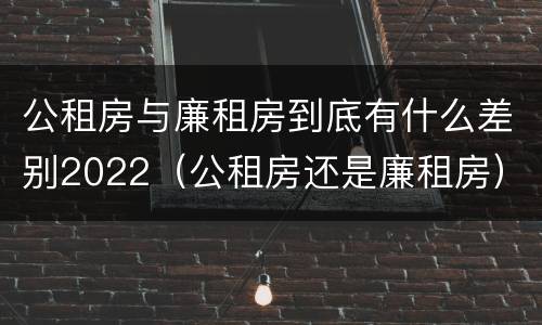 公租房与廉租房到底有什么差别2022（公租房还是廉租房）