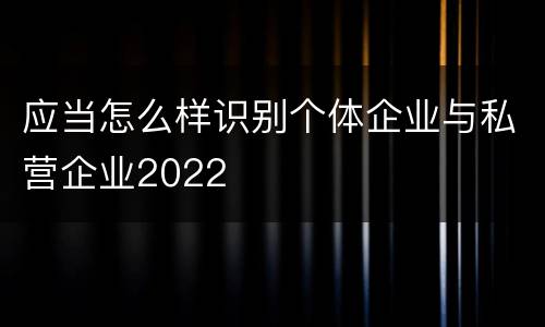 应当怎么样识别个体企业与私营企业2022