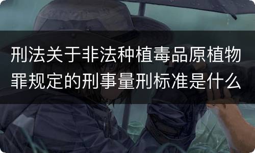 刑法关于非法种植毒品原植物罪规定的刑事量刑标准是什么