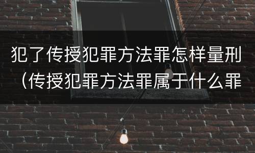 犯了传授犯罪方法罪怎样量刑（传授犯罪方法罪属于什么罪）