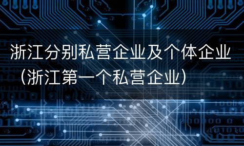 浙江分别私营企业及个体企业（浙江第一个私营企业）