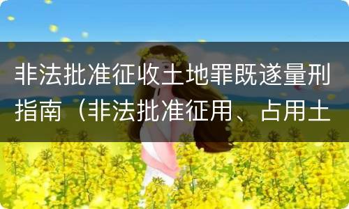 非法批准征收土地罪既遂量刑指南（非法批准征用、占用土地罪）