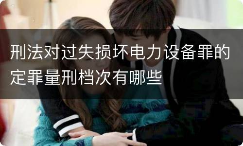 刑法对过失损坏电力设备罪的定罪量刑档次有哪些