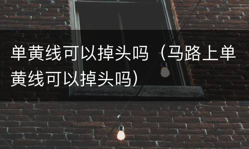 单黄线可以掉头吗（马路上单黄线可以掉头吗）