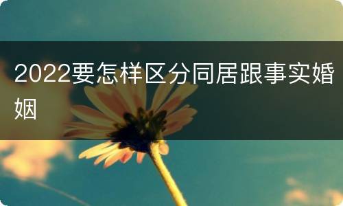 2022要怎样区分同居跟事实婚姻