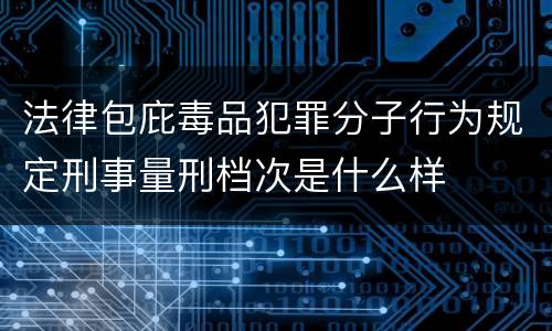 法律包庇毒品犯罪分子行为规定刑事量刑档次是什么样