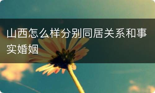 山西怎么样分别同居关系和事实婚姻