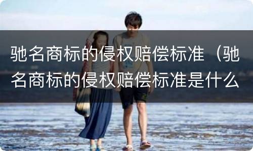 驰名商标的侵权赔偿标准（驰名商标的侵权赔偿标准是什么）