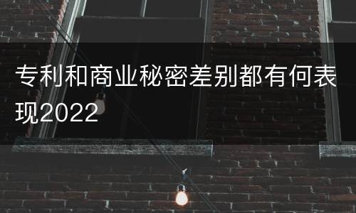 专利和商业秘密差别都有何表现2022