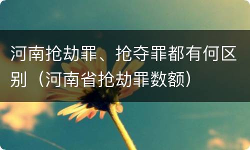 河南抢劫罪、抢夺罪都有何区别（河南省抢劫罪数额）