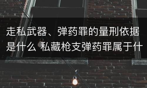 走私武器、弹药罪的量刑依据是什么 私藏枪支弹药罪属于什么类