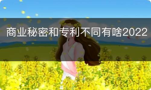 商业秘密和专利不同有啥2022