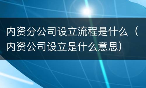 内资分公司设立流程是什么（内资公司设立是什么意思）