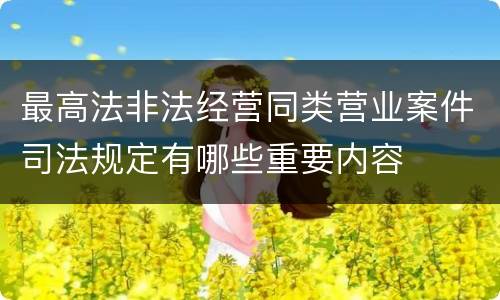 最高法非法经营同类营业案件司法规定有哪些重要内容