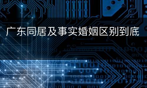 广东同居及事实婚姻区别到底