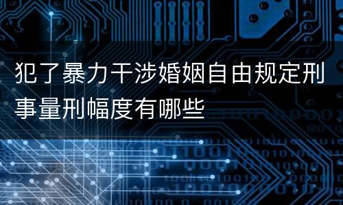 犯了暴力干涉婚姻自由规定刑事量刑幅度有哪些