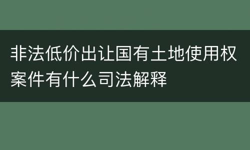非法低价出让国有土地使用权案件有什么司法解释