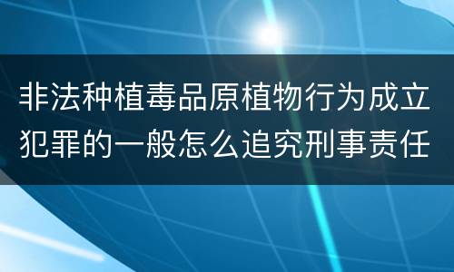 非法种植毒品原植物行为成立犯罪的一般怎么追究刑事责任