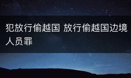 犯放行偷越国 放行偷越国边境人员罪